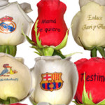 Rosas personalizadasRosas frescas con un mensaje o una imagen impresa en su pétalo más bonito.